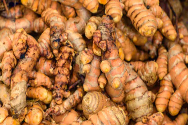 Black Turmeric Images