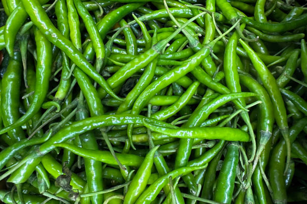 Green Chlli Images