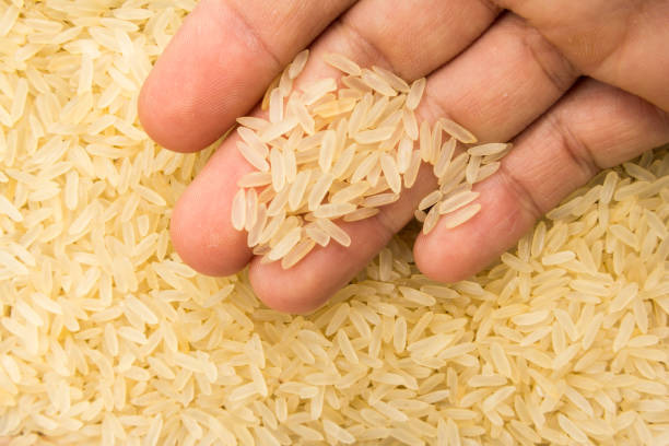 Rice Images